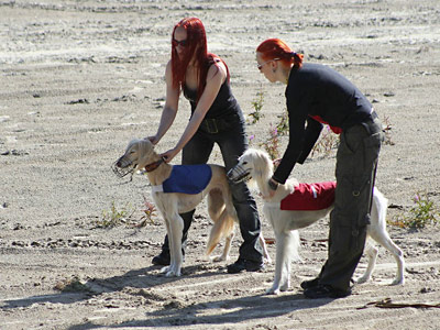 Ameena, Hyde, Ada ja Sanja 11.07.2009