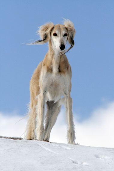 El-Ubaid's Erindira, photo: Laura Rodriguez
